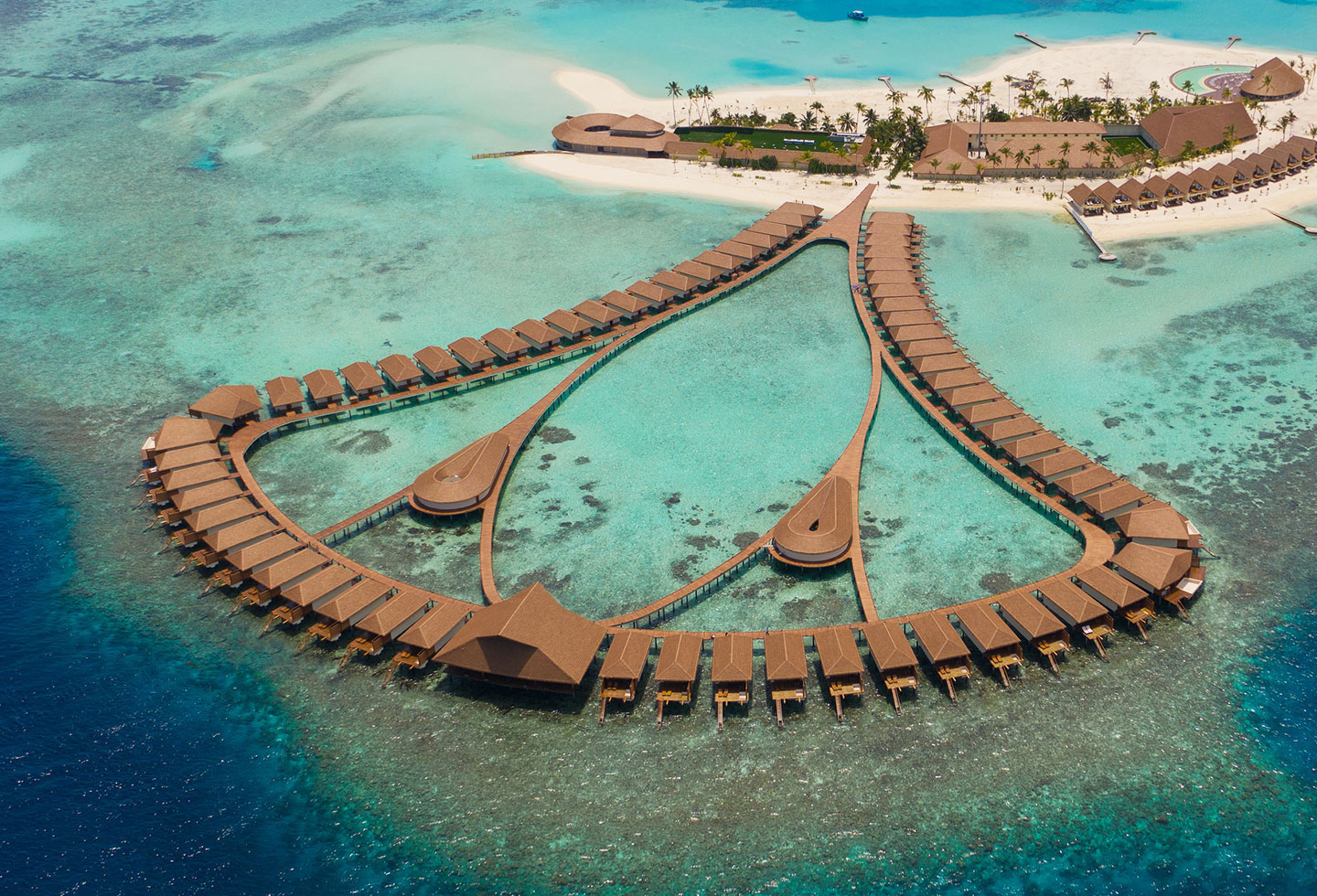 Cinnamon velifushi